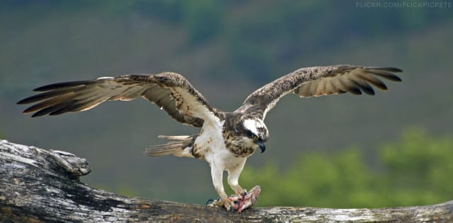 Nature Lovers in Scotland