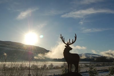 Highland Winter