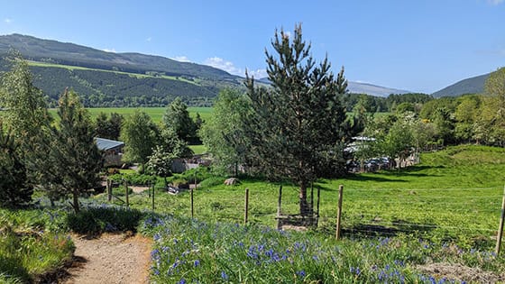 Aberfeldy