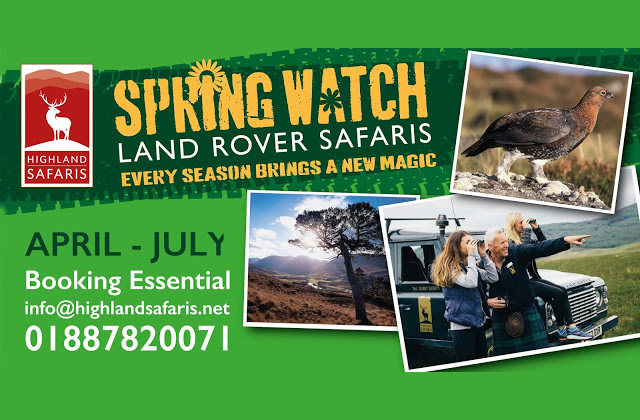 Summer Watch Safaris 2019