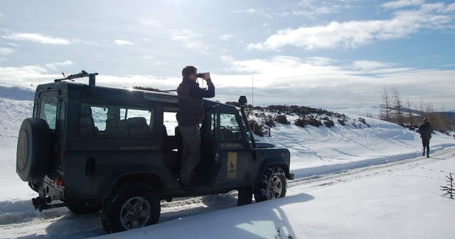 Summer Watch Safaris: No Question