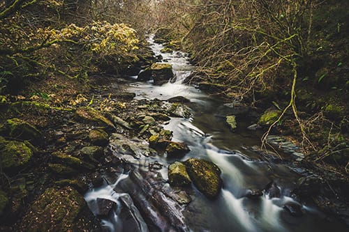 Aberfeldy
